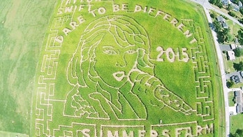 Maryland farm creates larger-than-life Taylor Swift corn field maze