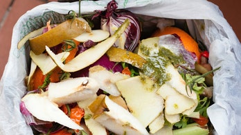 United Nations vows to cut global food waste in half by 2030