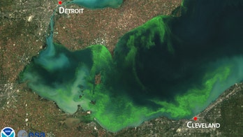Beach bummer: toxic slime will hit Lake Erie again