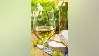 A primer on pinot grigio wine