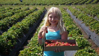 Taking the Kids -- Farm-to-table fun on Martha's Vineyard
