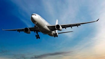 Annoying airline fees mean big business