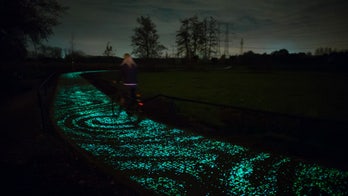 ‘Starry Night’ bike path illuminates the ground to celebrate Vincent van Gogh