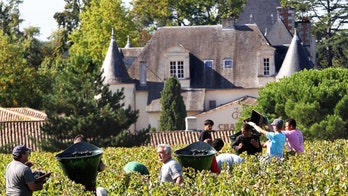 World wine production hits historic lows amid rough weather conditions