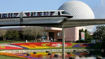 Brawl erupts at Walt Disney World