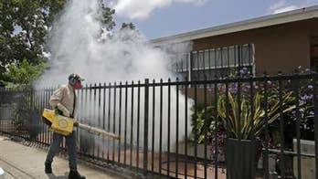 Florida tourism officials brace for impact after Miami Zika outbreak