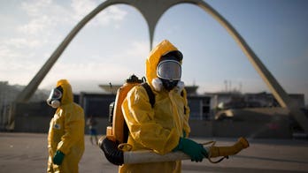 Factbox: Why the Zika virus is causing alarm