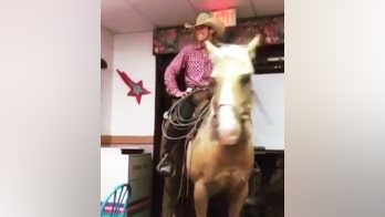 Texas man rides horse into a Taco Bell