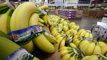 Devastating plant fungus may eradicate bananas within five years