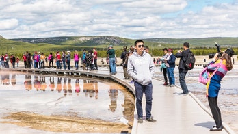 Yellowstone doesn’t want tourists endangering wildlife with selfies