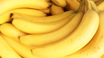 Are bananas going extinct?