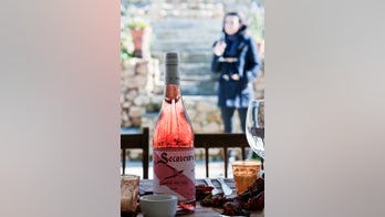 10 super spring wines for $25 and under