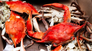 Fake food festival scam targets crab-loving foodies