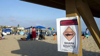 US beaches turn to high and low-tech to fend off summer shark attacks