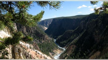 Elderly Yellowstone tourist cheats death after trying to snap photo