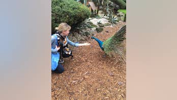 St. Augustine: Exploring Florida's little known paradise