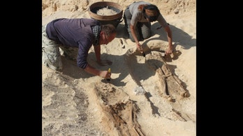 3,300-year-old Egyptian cemetery revealed