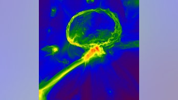 Scientists may have discovered remnants of the first stars