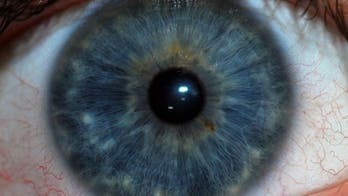 The human eye can see 'ghost images'