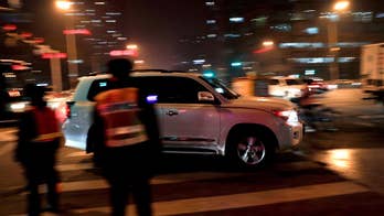 China auto sales rise 17.2 percent in November