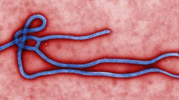 What you need to know about Ebola