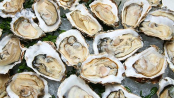Texas woman dies from flesh-eating bacteria after raw oysters banquet