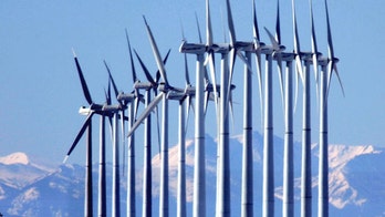 New administration rule would permit thousands of eagle deaths at wind farms