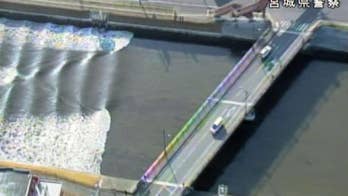 Comparing the 2011 and 2016 Japan earthquakes and tsunamis