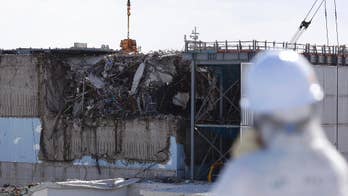 Japan doubles cost estimate for Fukushima cleanup