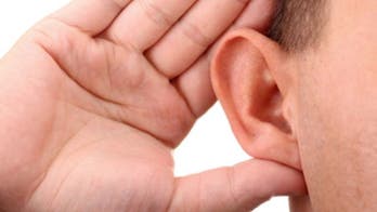 Researchers identify potential contributor to age-related hearing loss
