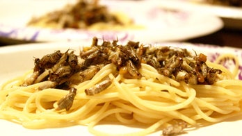 College student plans to eat bugs for 30 days—and hopes you will, too
