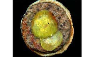 'Fast Food' up close