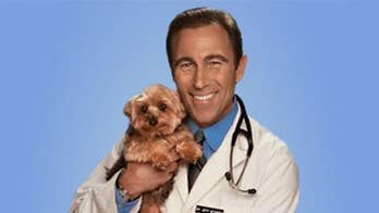 Pro-Sense for your pet