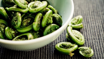 Fiddlehead ferns: How to find, clean, and cook spring's most fleeting treat