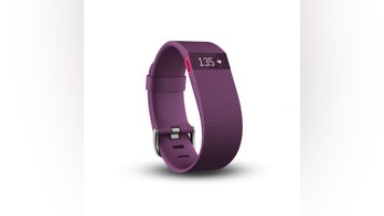 Fitbit, Garmin, Apple Watch lead fitness tracker, smartwatch holiday gift list