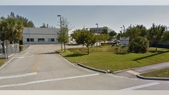 'Intelligent' cat turns on faucet, flooding animal shelter