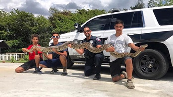 Florida teens capture 13-foot python escaping wildfires