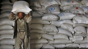 World Food Program badly mismanaged special donor trust funds, auditors say