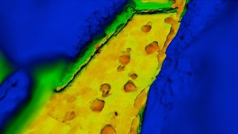 112-million-year-old dinosaur 'chase' remade in 3D