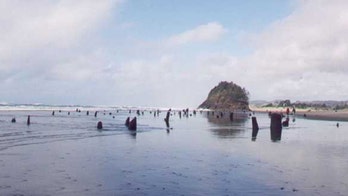 The strange ghost forest that morphed into a beach forest