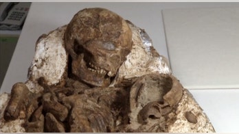 Archaeologists discover 4,800-year-old fossil of mother cradling a baby