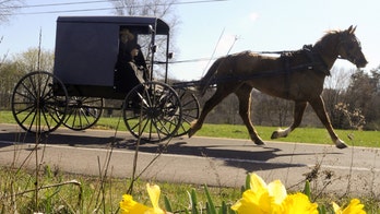 With fall coming, 5 free things to do in Pennsylvania Amish country