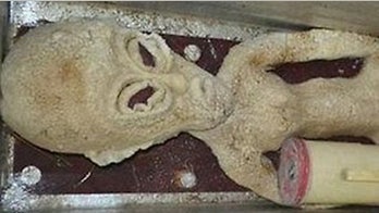 Spaced out UFO fan sparks Internet frenzy over frozen 'alien'