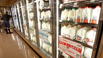 Feeling the chill: EPA ban on common coolants has lawmakers, industry worried