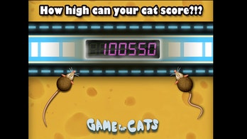 iPad apps for dogs, cats and penguins take off