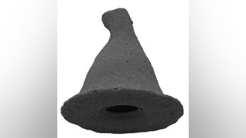 Newfound amoeba looks just like Gandalf the Wizard's hat