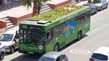 Designer plants a garden on a bus