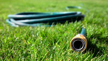 How to get a lush garden with less water