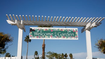 DIY landscape design: choosing garden structures