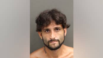 Florida deputies find alligator in backseat of alleged burglar's getaway car